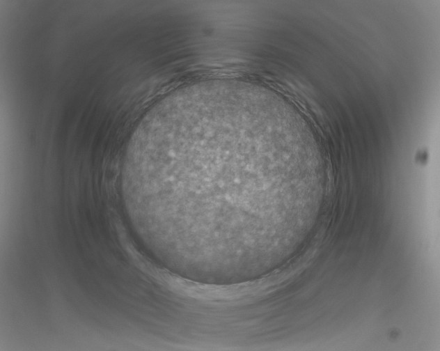 X0000116870030201002021136