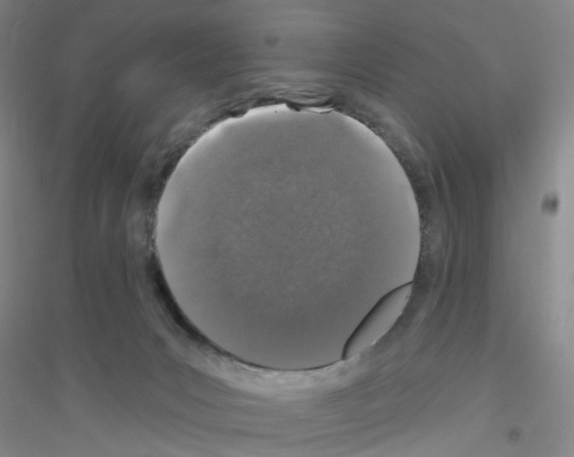 X0000116870031201002021136