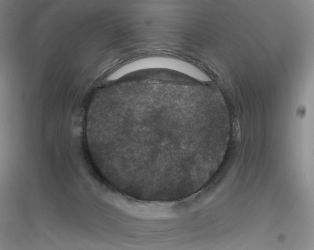 X0000116870032201002021136