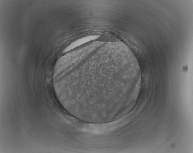 X0000116870033201002021136