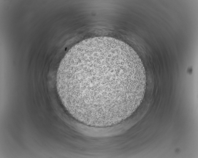 X0000116870034201002021136