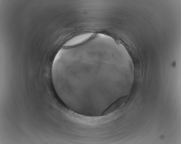 X0000116870035201002021136