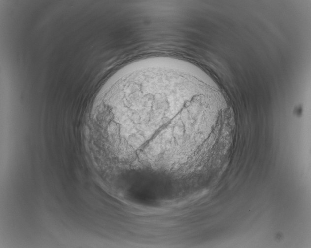 X0000116870036201002021136
