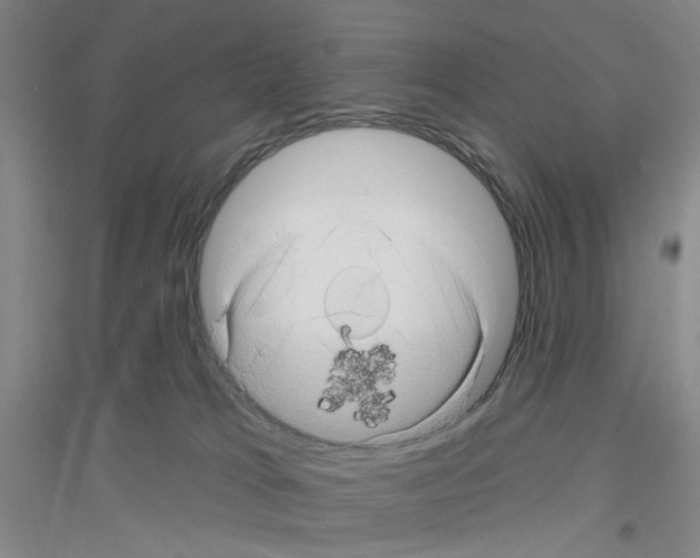 X0000116870037201002021136