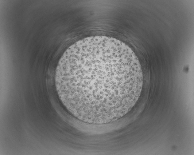 X0000116870038201002021136