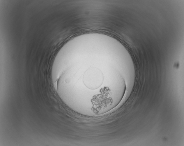 X0000116870039201002021136