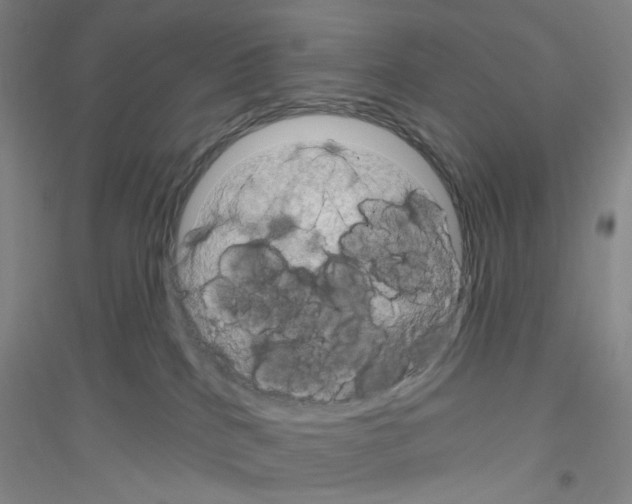 X0000116870040201002021136