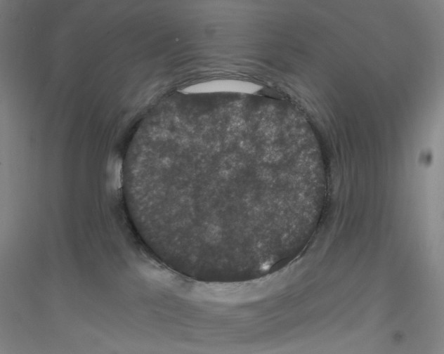 X0000116870041201002021136