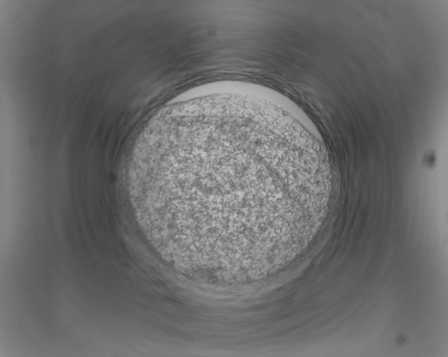 X0000116870042201002021136