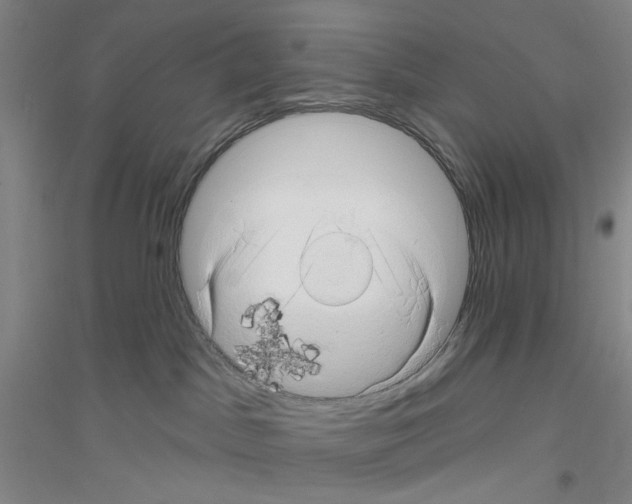 X0000116870045201002021136