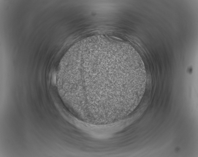 X0000116870046201002021136