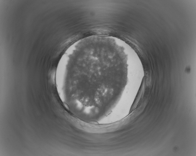 X0000116870047201002021136
