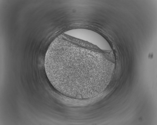 X0000116870048201002021136