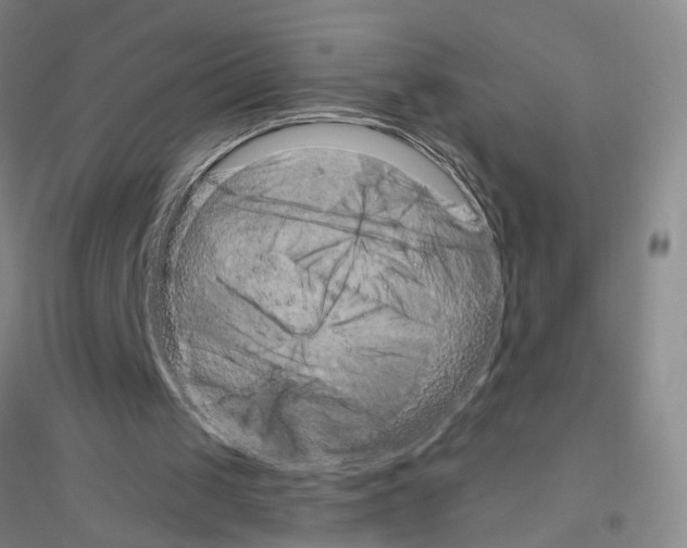 X0000116870049201002021136