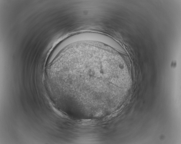 X0000116870050201002021136