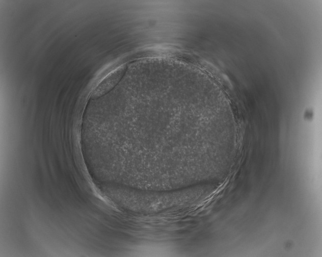 X0000116870051201002021136