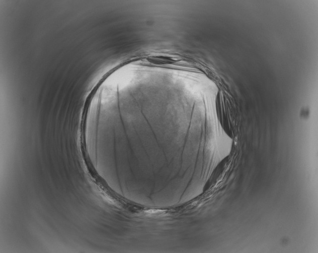 X0000116870052201002021136