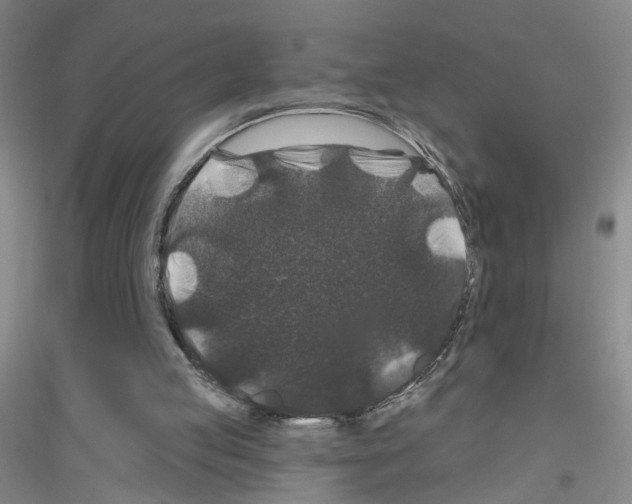 X0000116870053201002021136