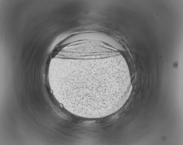 X0000116870054201002021136