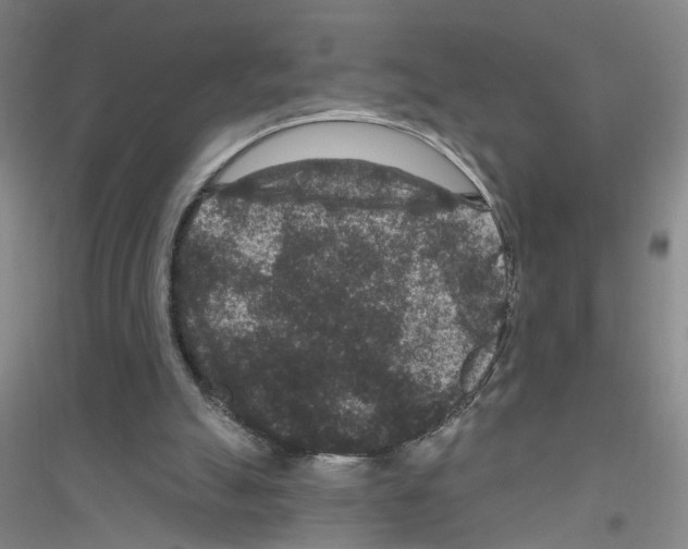 X0000116870055201002021136