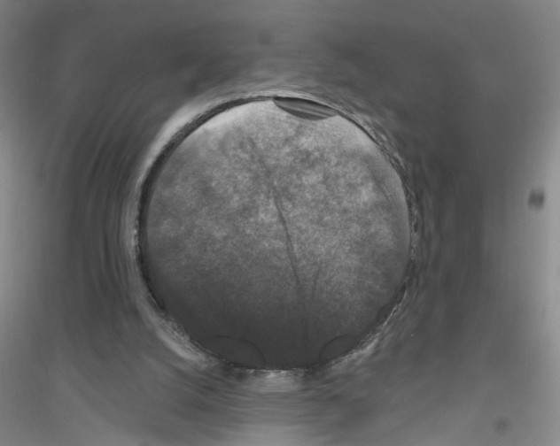 X0000116870056201002021136