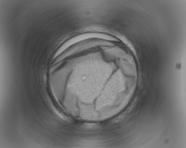 X0000116870057201002021136