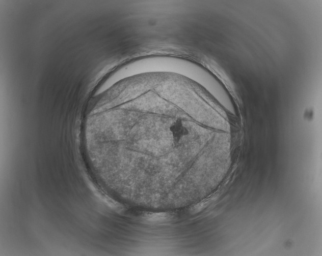 X0000116870058201002021136