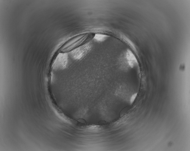 X0000116870059201002021136