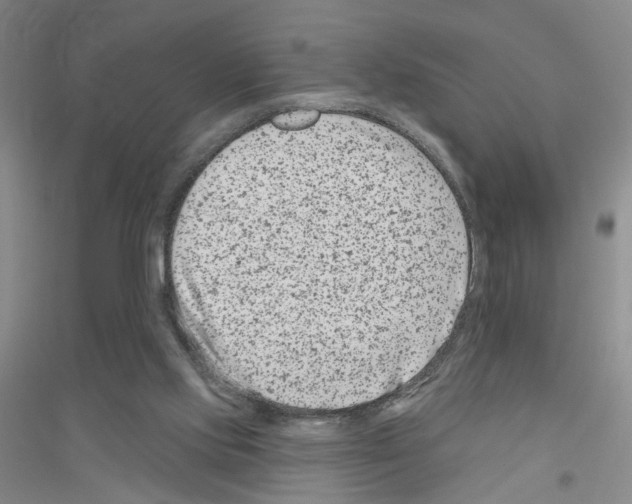 X0000116870061201002021136