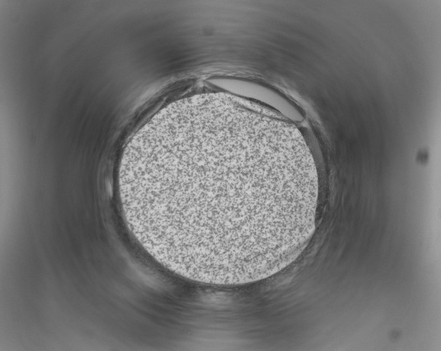 X0000116870062201002021136