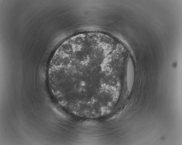 X0000116870063201002021136
