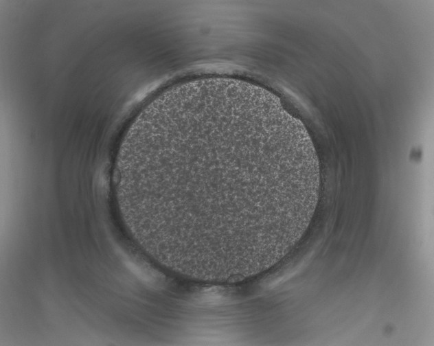 X0000116870064201002021136