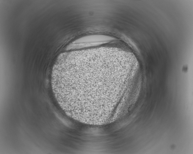 X0000116870065201002021136