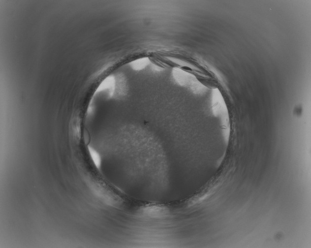 X0000116870067201002021136