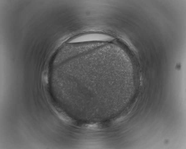 X0000116870068201002021136