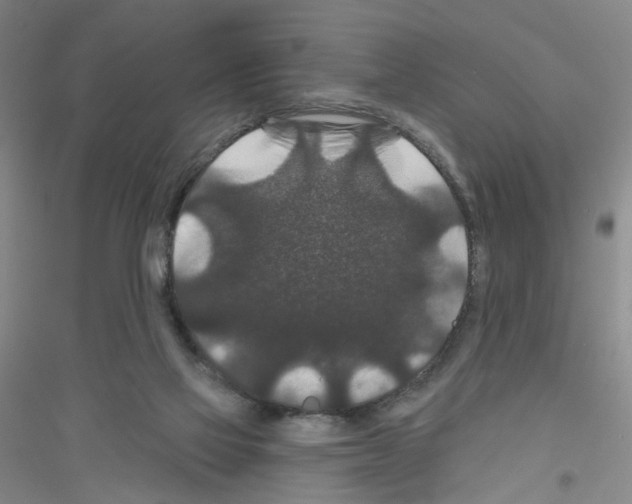 X0000116870069201002021136