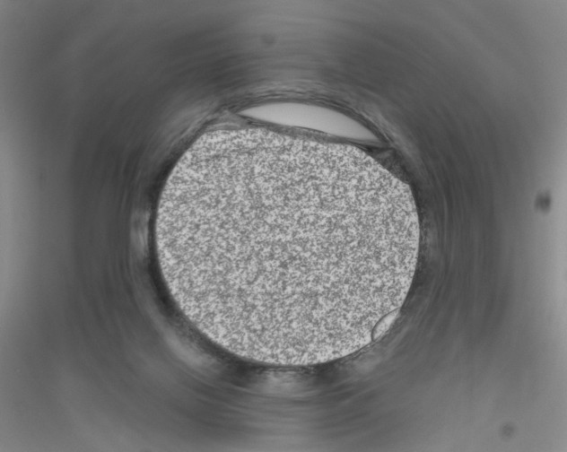 X0000116870070201002021136