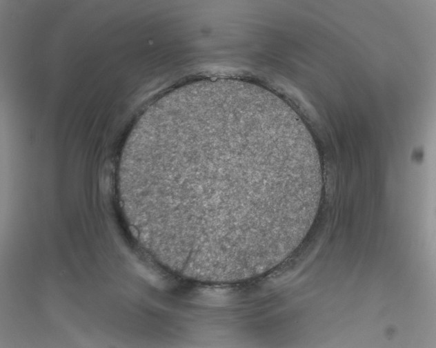 X0000116870071201002021136
