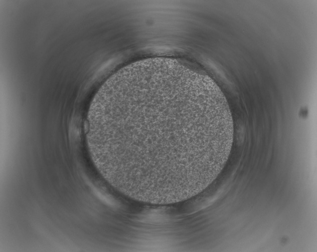 X0000116870072201002021136