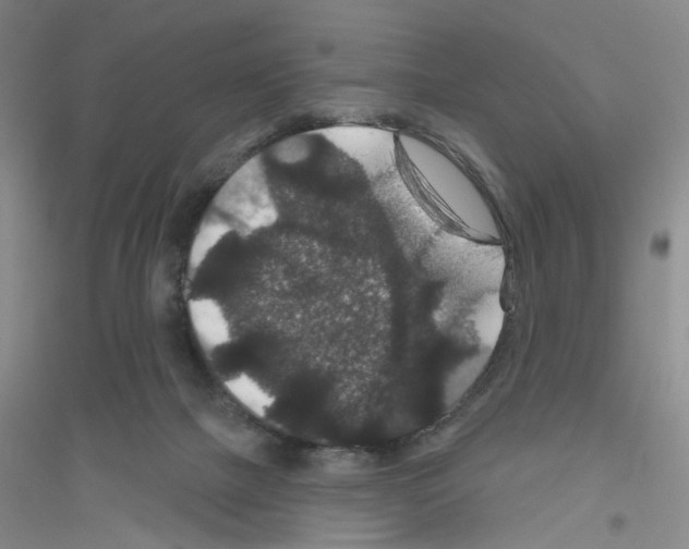 X0000116870073201002021136