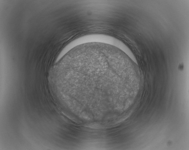 X0000116870075201002021136