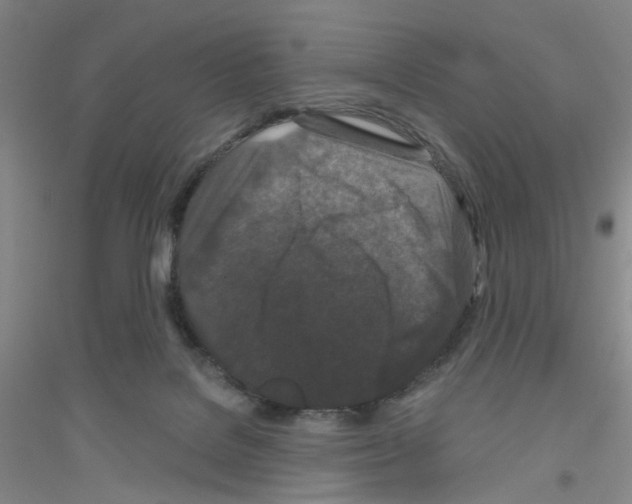 X0000116870076201002021136