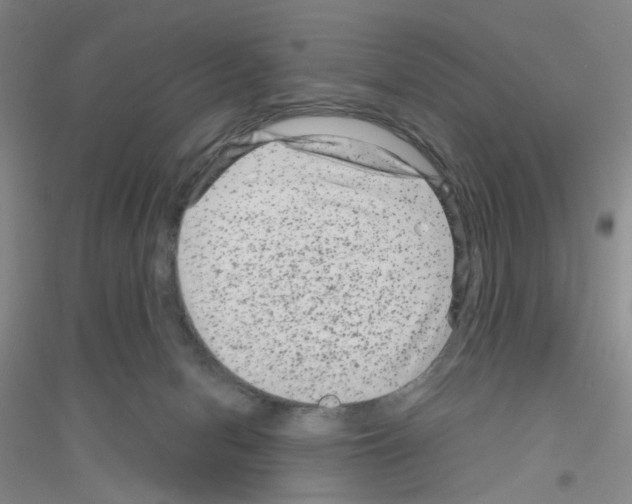 X0000116870078201002021136
