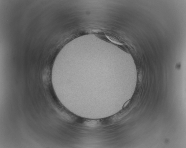 X0000116870079201002021136