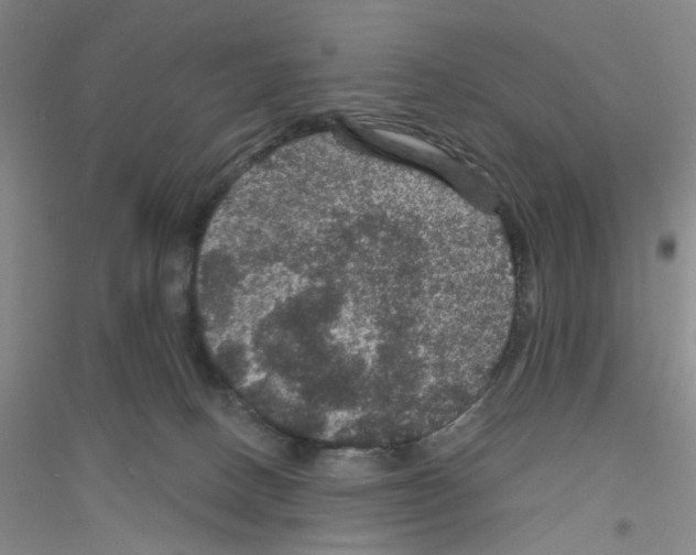 X0000116870082201002021136