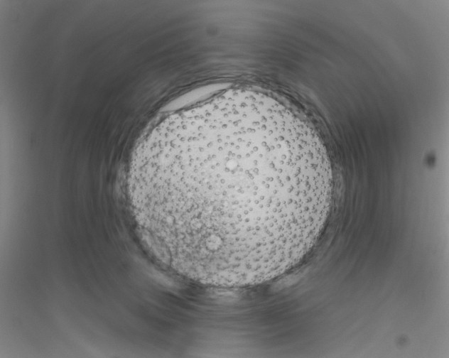 X0000116870083201002021136