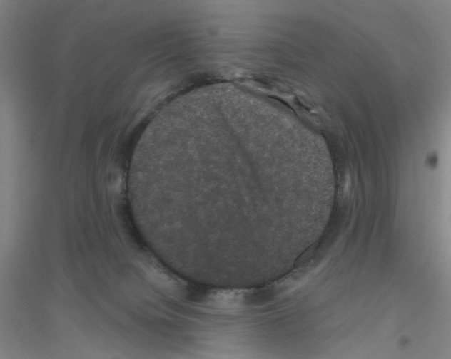 X0000116870084201002021136