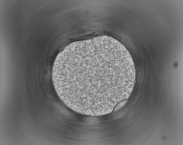 X0000116870085201002021136