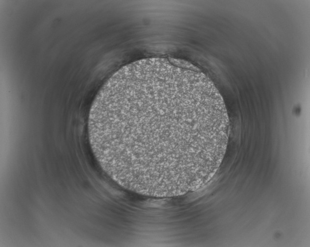 X0000116870086201002021136