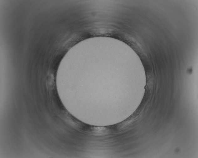 X0000116870087201002021136